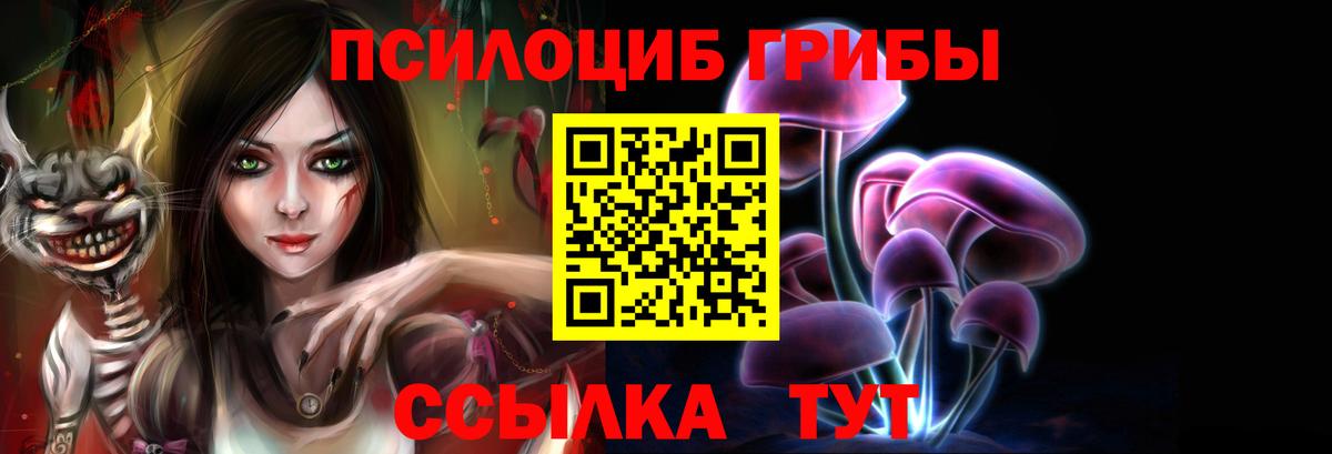 Псилоцибиновые грибы ЛСД  Вход с VPN  Великий Новгород  Псилоцибиновые грибы мицелий 