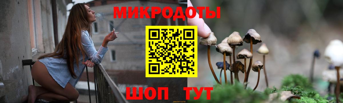 Псилоцибиновые грибы мухоморы Великий Новгород