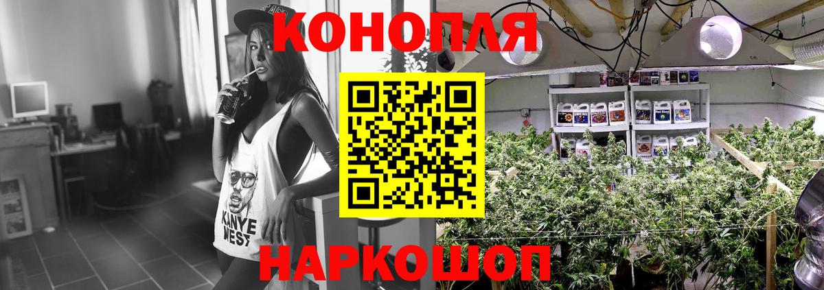 Бошки марихуана AK-47 Великий Новгород